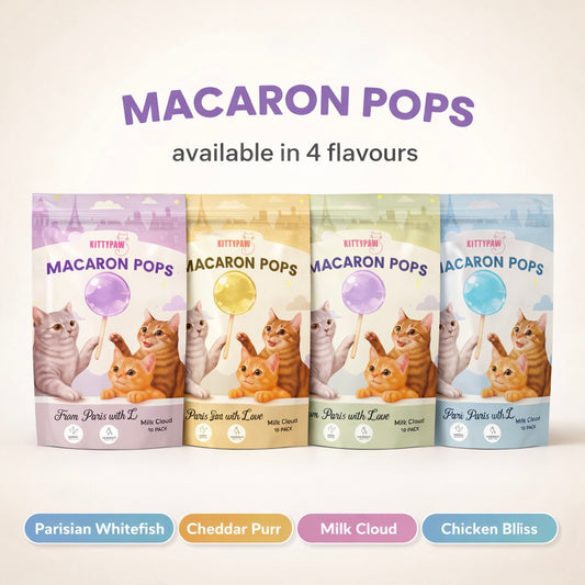 Cat Treats 10 Pack – Crunchy Cat Lollipops | KittyPaw Macaron Pops | 4 Flavours Chicken Fish Cheese Milk |