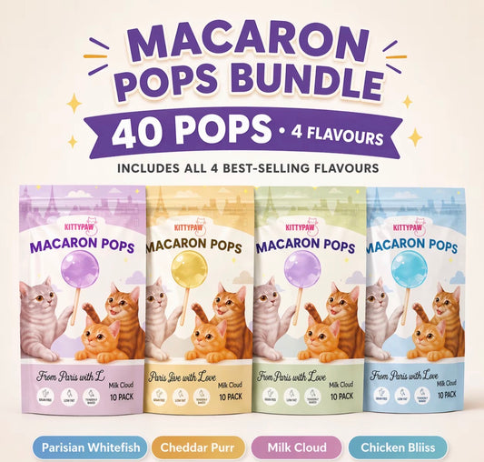 Cat Treats 40 Pack – Crunchy Cat  | KittyPaw Macaron Pops Bundle | 4 Flavours Chicken Fish Cheese