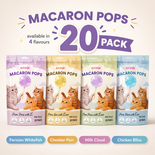Cat Treats 20 Pack – Crunchy Cat Lollipops | KittyPaw Macaron Pops | 4 Flavours Chicken Fish Cheese Milk |